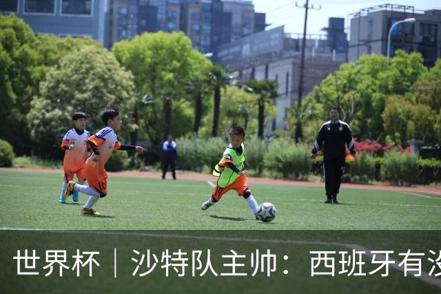 世界杯｜沙特队主帅：西班牙有没有亚马尔是两支球队